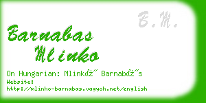 barnabas mlinko business card